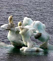 Melting Ice - Climate Change